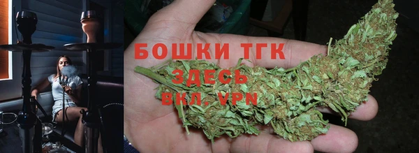 дурь Алексин